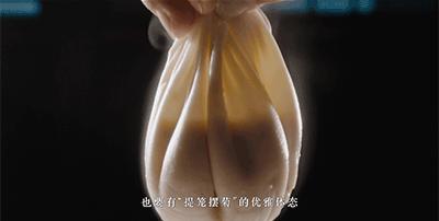 从足球小将到灌篮高手,从足球小将到十六强