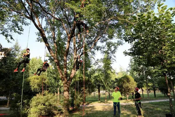 你家大学有哪些课程,有趣的大学课程有哪些