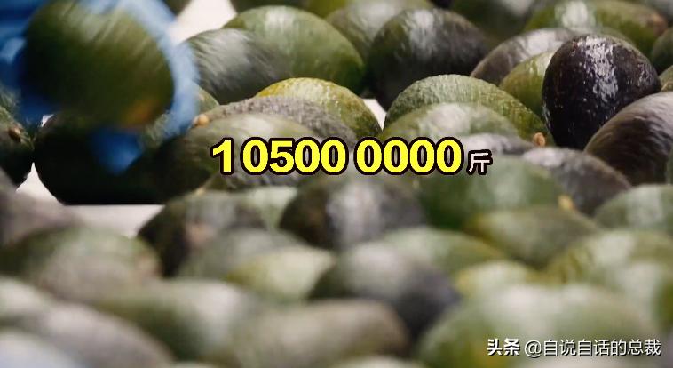 牛油果是坏了吗,牛油果几十年前