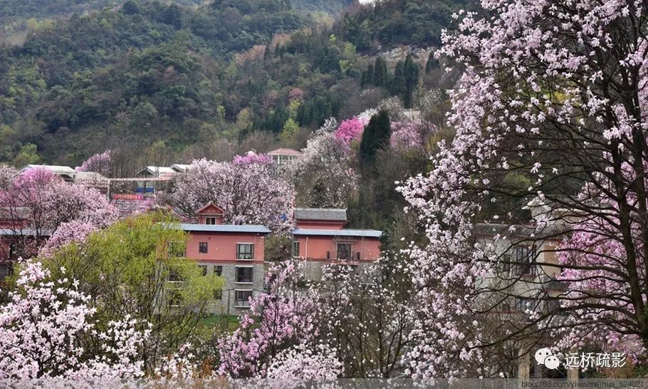 药王谷里觅旧迹（原图文）