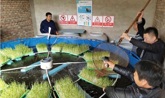 现在农村办什么小型厂好,农村能办的小厂子有哪些