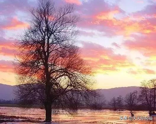 绝！绝！绝！这条微信谁编的？太有才了