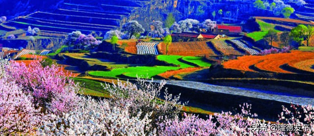 70年·夸夸我的城｜固原：吾心安处是吾乡，蓄势待发未来可期！