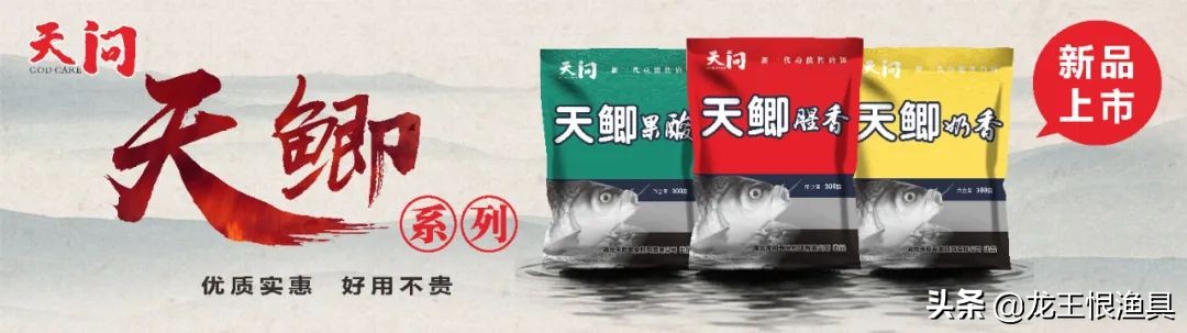 天鲫腥香评测,天鲫通杀钓鲫鱼