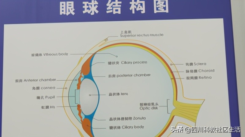 检测视力的仪器叫什么,健康社区服务中心的体检靠谱吗
