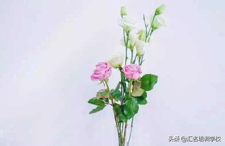 花艺十六种手法,流行花艺简单教学