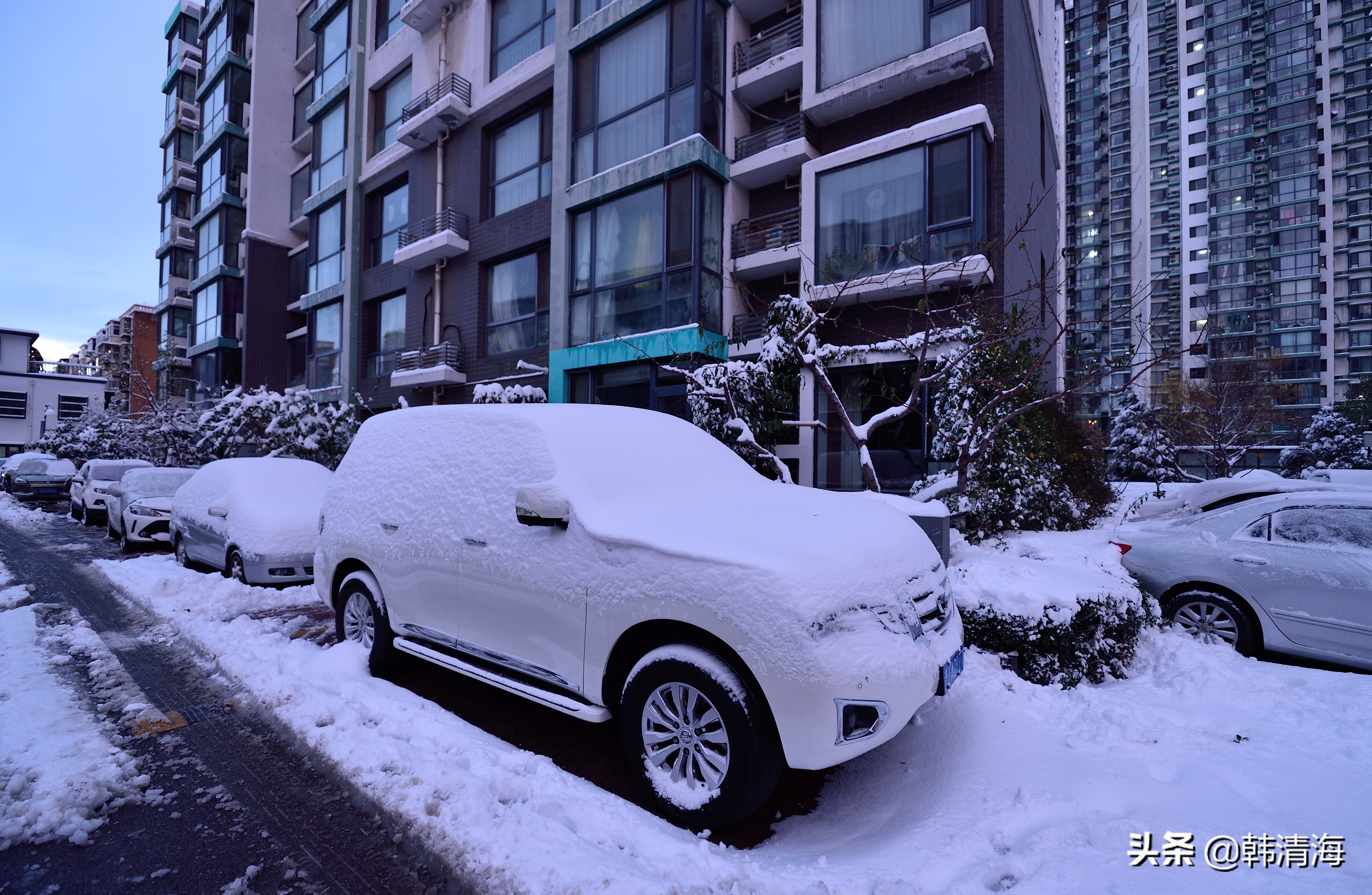 2021天津第一雪水畔花园小区装扮得更加圣洁和美丽