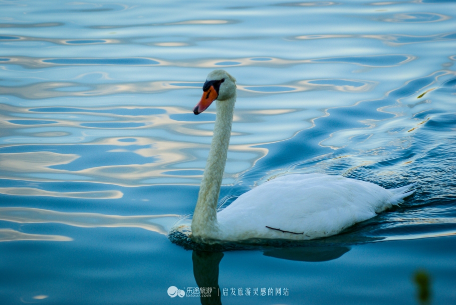 奥巴马卸任以后做什么工作,奥巴马卸任后做什么
