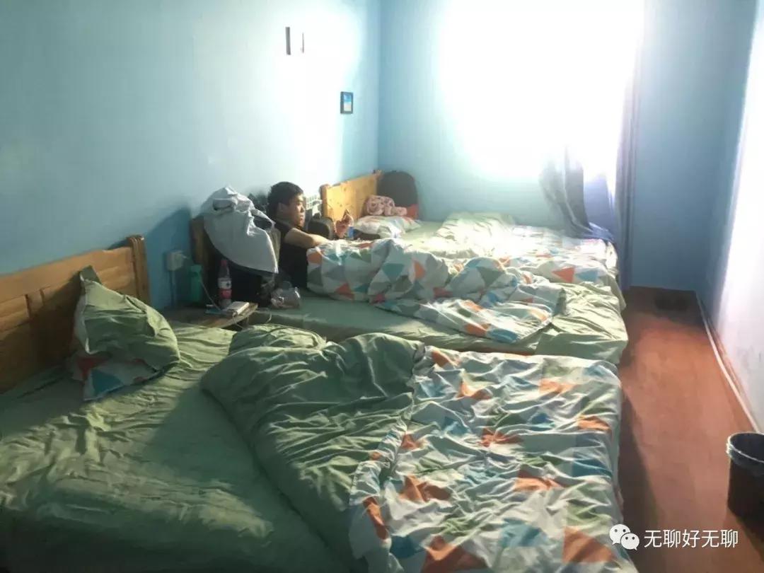 拉萨高原反应红景天,天上拉萨