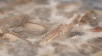 四月蛏肥美莫负西施舌,三月适合吃的海鲜蛏子