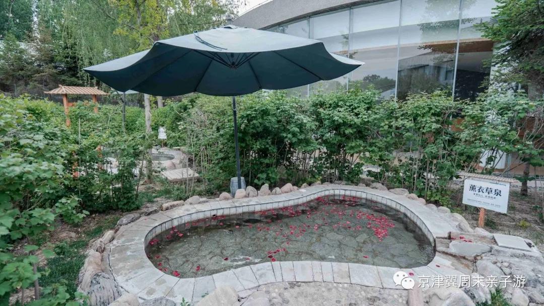 霸州日月潭温泉会馆介绍,霸州日月潭温泉攻略