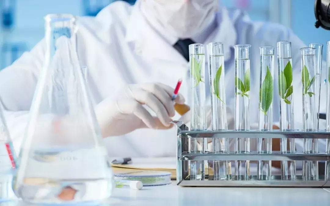 肝癌早期诊断简单有效的检查方法,定期筛查早期肝癌最合适的方法