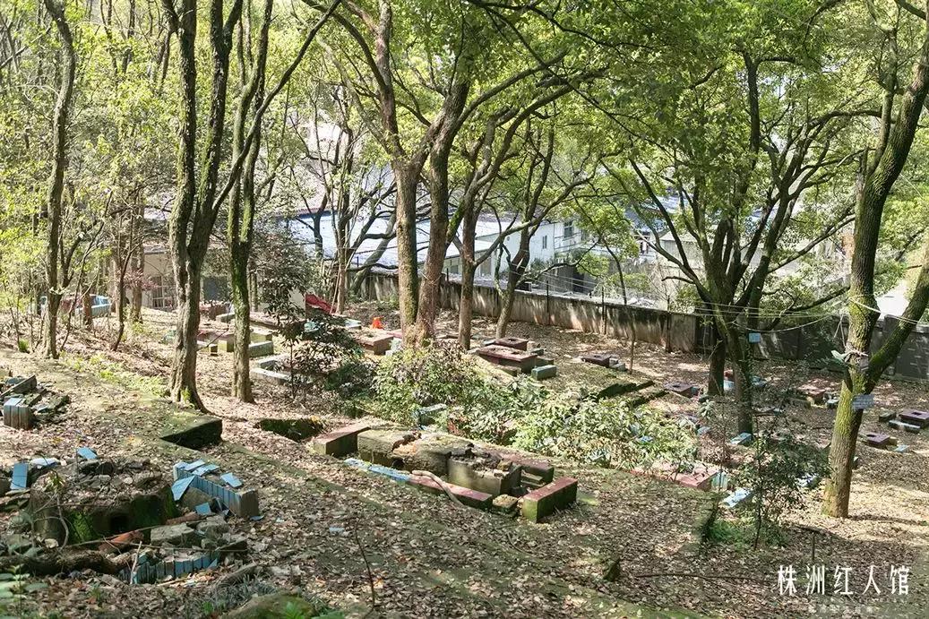 以前的株洲神农公园,株洲神农公园古城