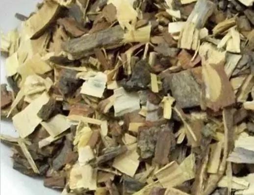 治癣药方苦楝树,每天认识一味中草药书籍