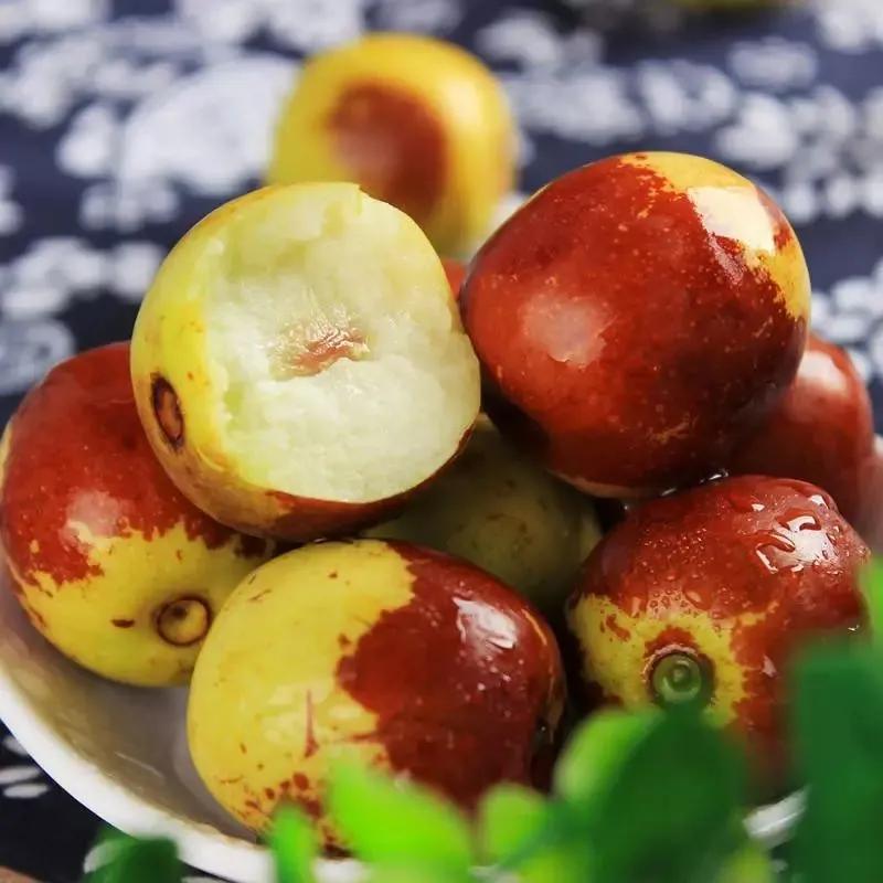 热带水果王国攀枝花,攀枝花一年四季有哪些水果