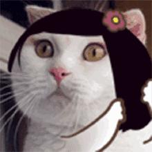 关晓彤lisa惊艳美图,lisa和关晓彤谁更好看