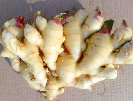 生姜做蜜饯,把生姜做成蜜饯