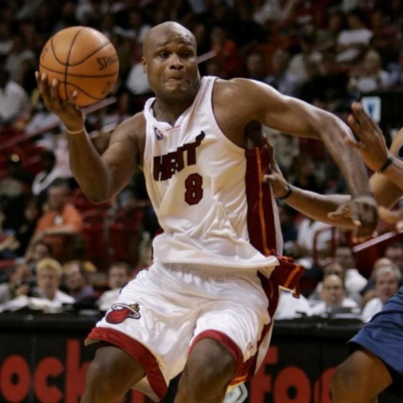 nba06年总决赛热火球员,2006年热火总冠军阵容