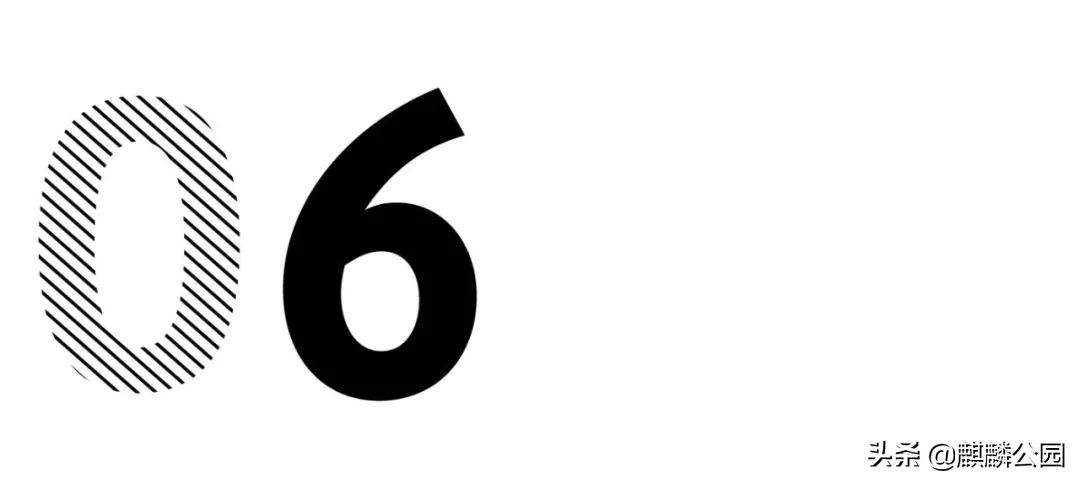 哪哪都有你|最大的国企美国邮政（USPS），快被特朗普搞破产了？