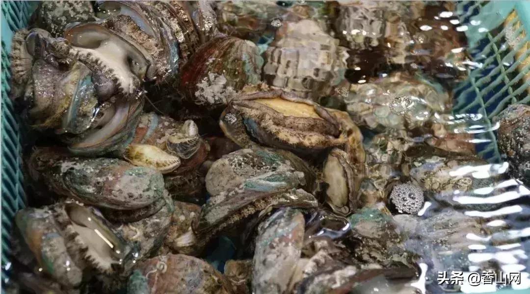 珠海有哪些海鲜街,珠海南屏海鲜街