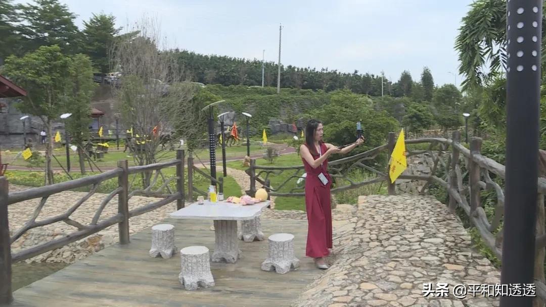 公益直播带货，爱心助农增收