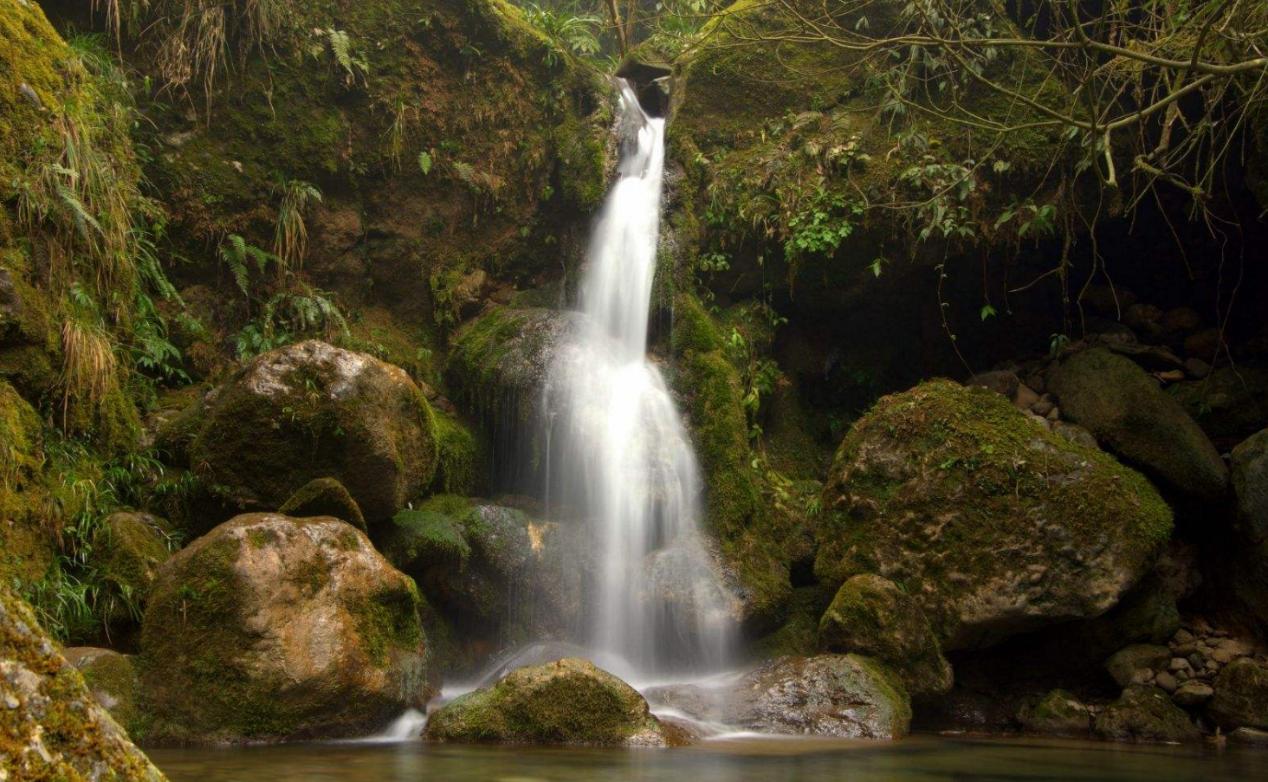 成都旅游必去十大景点推荐峨眉山,成都旅游必去十大景点推荐武侯祠