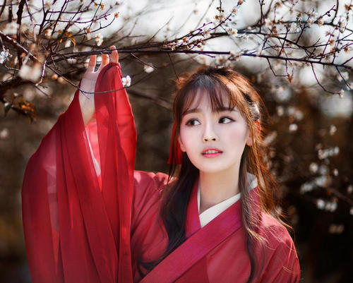 唐诗宋词是怎样描写梅花的,花中四君子描写梅花的诗句大全