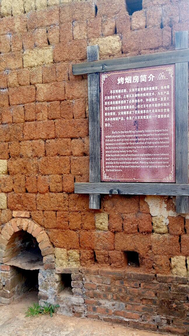 生产队种烟,生产队时代农民