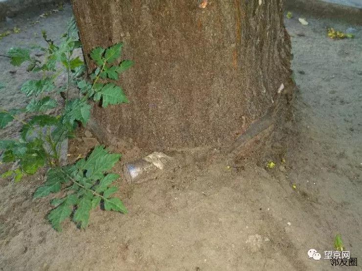 望京到大兴机场快线时刻表,北京快速直达专线112路发车时间