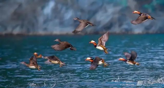 咸丰国家生态文明示范县,生态文明建设示范名单湖北