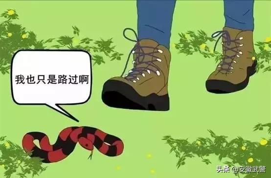 蛇在什么情况下才会主动攻击人,蛇会互相攻击吗