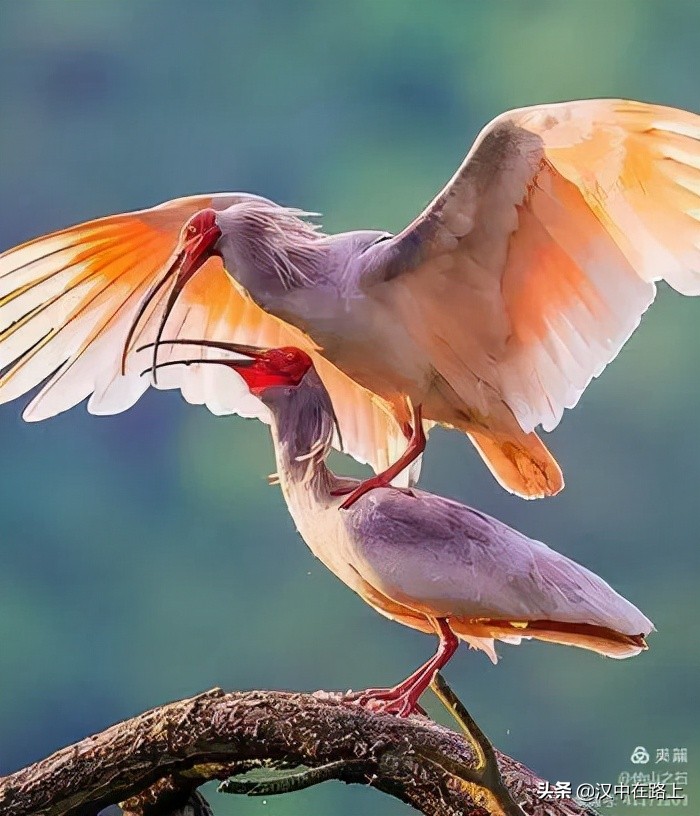 汉中户外遛娃好去处排行榜,汉中遛娃旅游景点有哪些