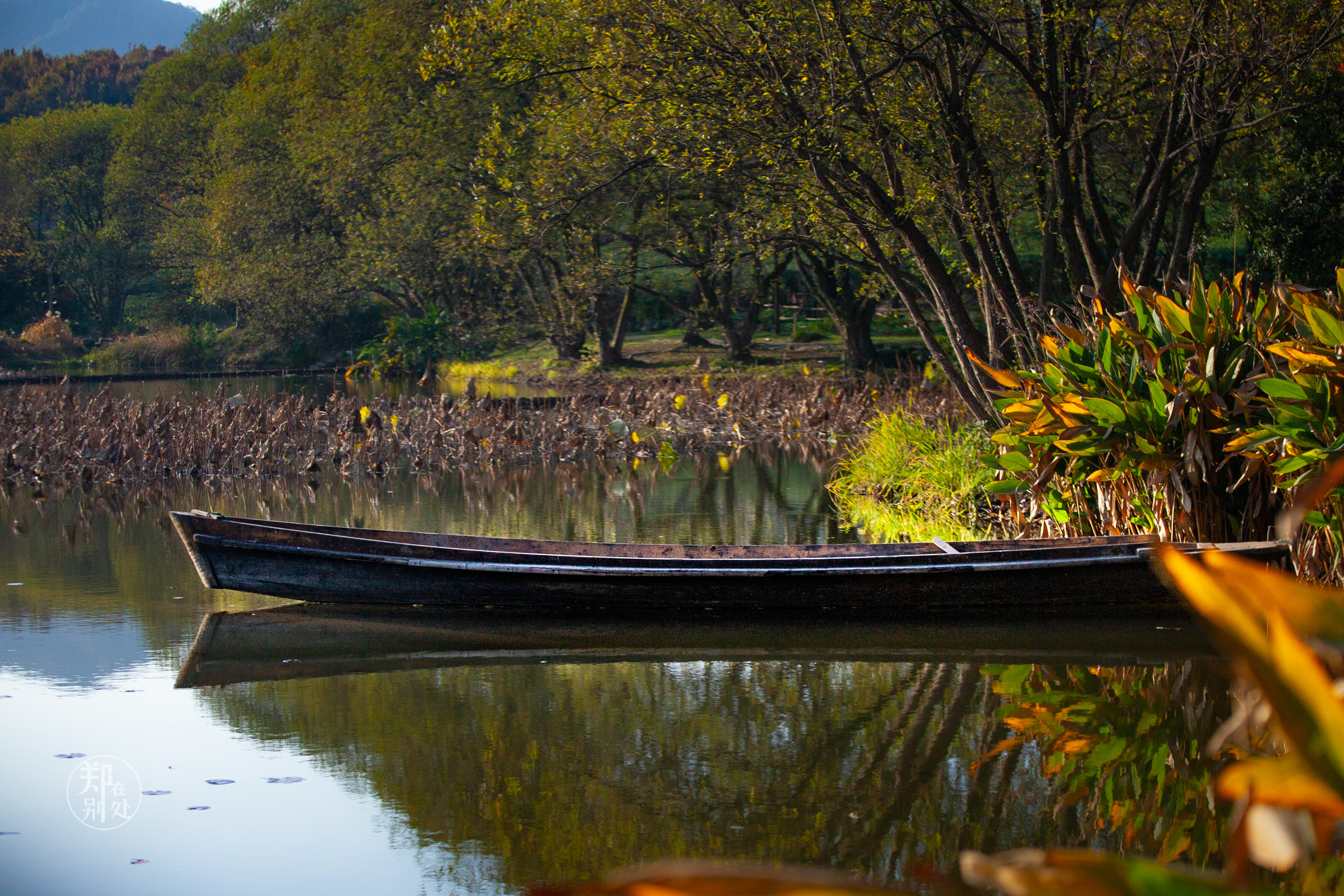 坐公交游杭州几路最好,杭州87路公交沿路风景