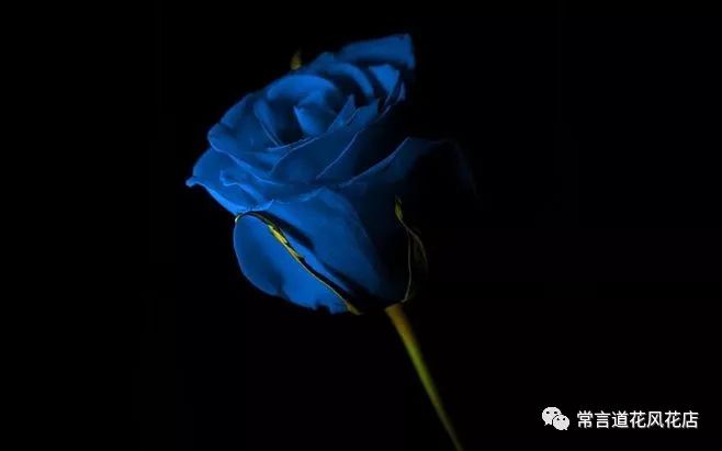 鑺卞崏钃濊壊濡栧К鎬曞ぉ鐑悧,钃濊壊濡栧К灞炰笉灞炰簬闇插ぉ鑺卞崏