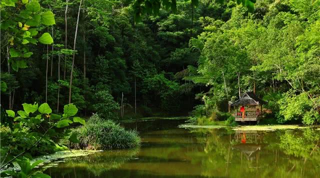 云南旅游最美的十大5a级景点,云南旅游全攻略5a景点