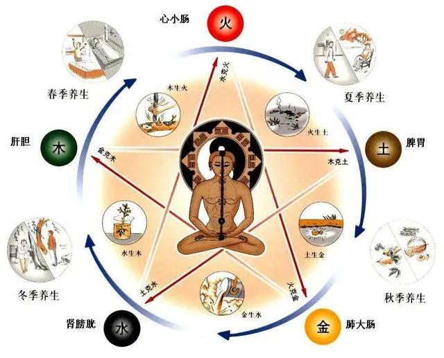 中医如何用五行来治五脏,中医教你如何诊断五脏病