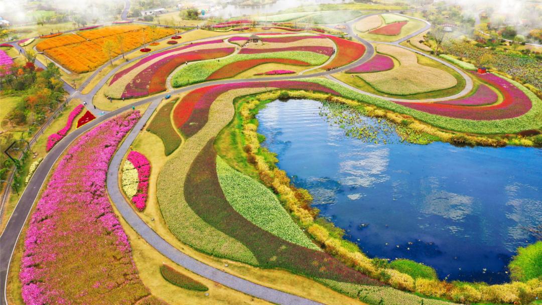 百家发布追寻奋斗百年路｜传承红色历史，高水平建设创新余杭品质之区文明圣地！