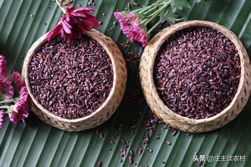 世界上最贵的几种食材有哪些,世界上最贵最顶级的食材