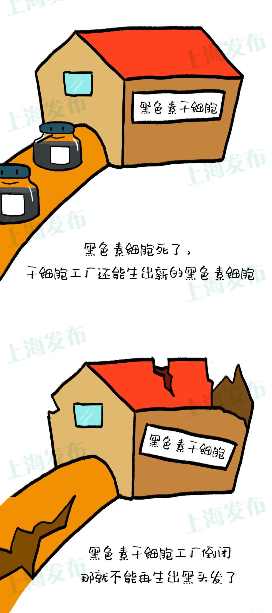 【医聊】年纪不大却长了白头发，需要紧张吗？