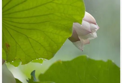 早安辽宁营口,早安营口的作品