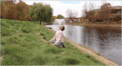 鸽子为什么这么大？懂数学的给出了答案