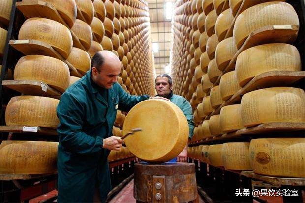 15种常见or不常见的奶酪图鉴,吐血整理24种数据可视化