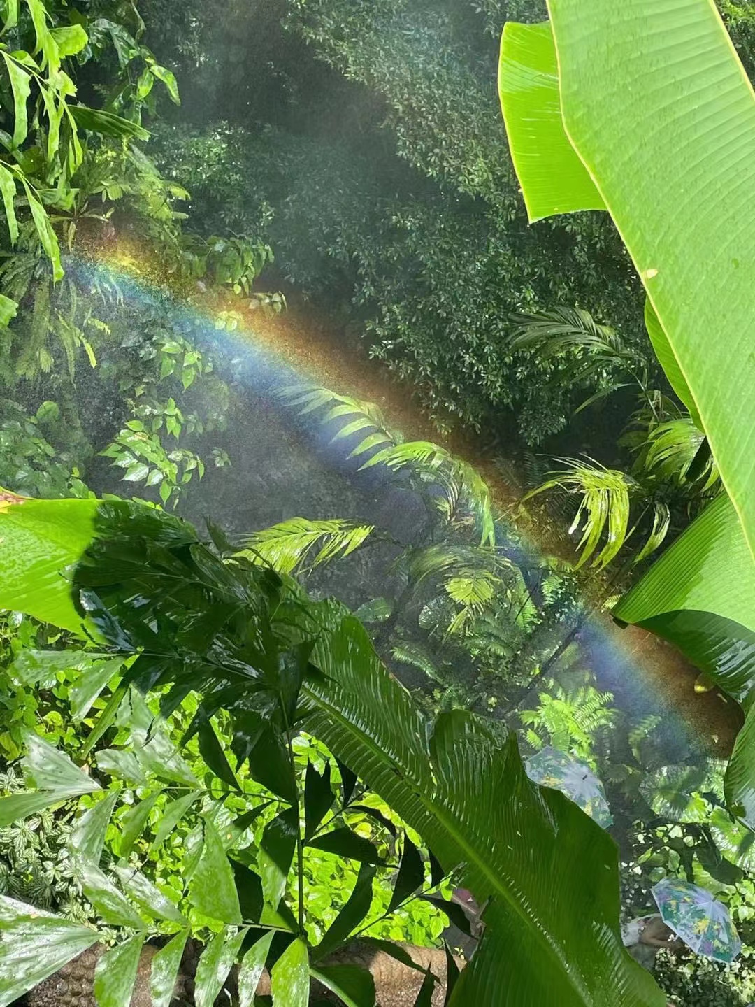 深圳青青世界公园,深圳青青世界门票