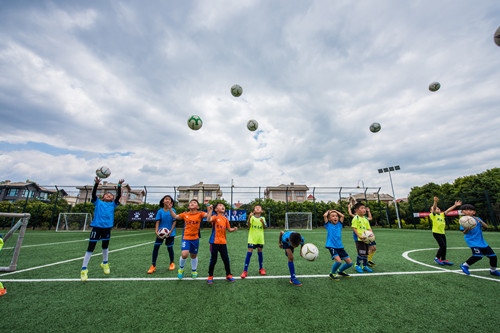 鑷存暚浜戝崡鎶楃柅鑻遍泟,鑷存暚鎶楃柅鑻遍泟鍐涜
