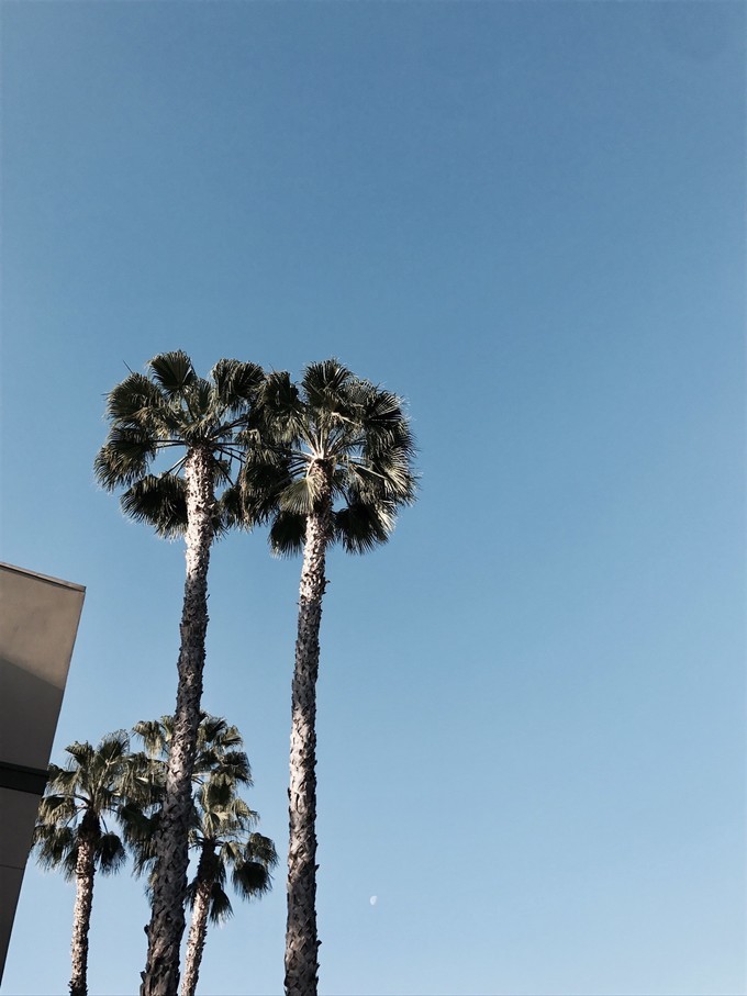 假如美国能说话（洛杉矶篇）