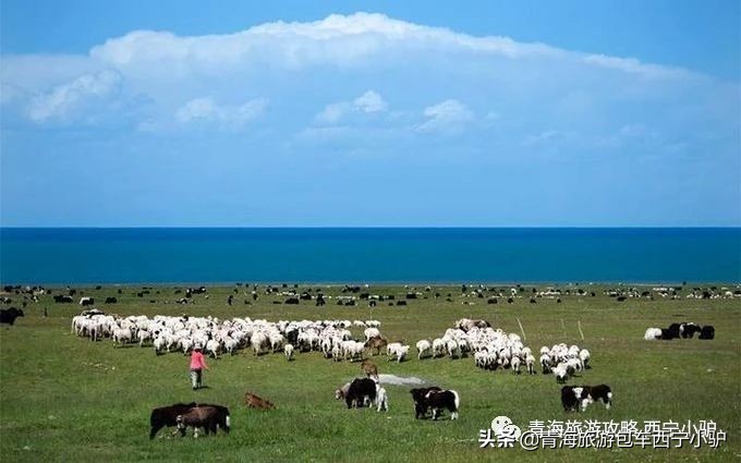 2020青海旅游攻略,1-3天怎么玩速看秘籍-西宁小驴青海旅游领队