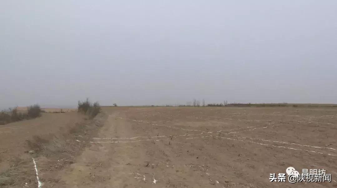 陕西澄城县刘家洼东周遗址,陕西刘家洼考古纪实