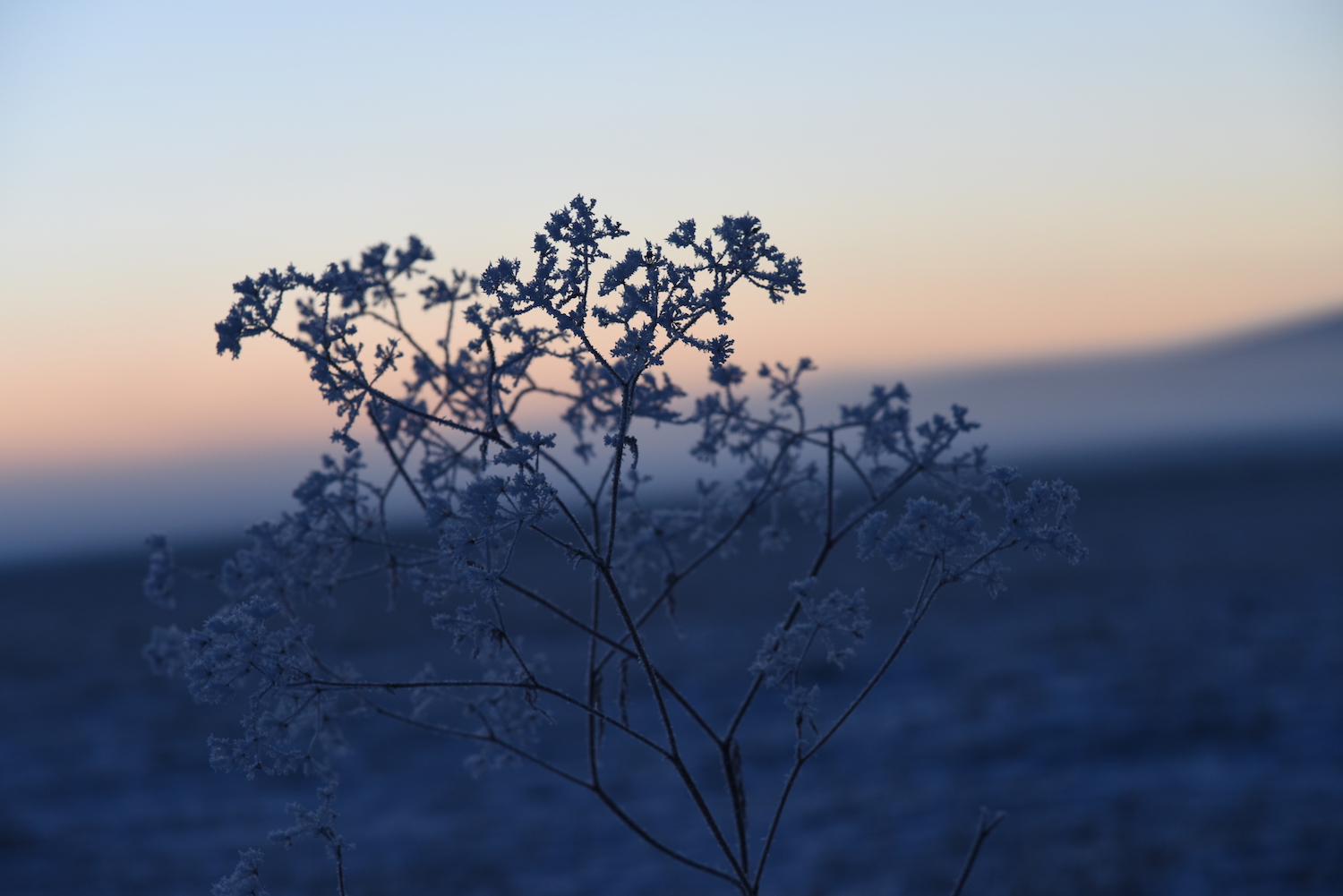 乌拉盖狼图腾拍摄地秋天去还行吗,乌拉盖狼图腾旅游
