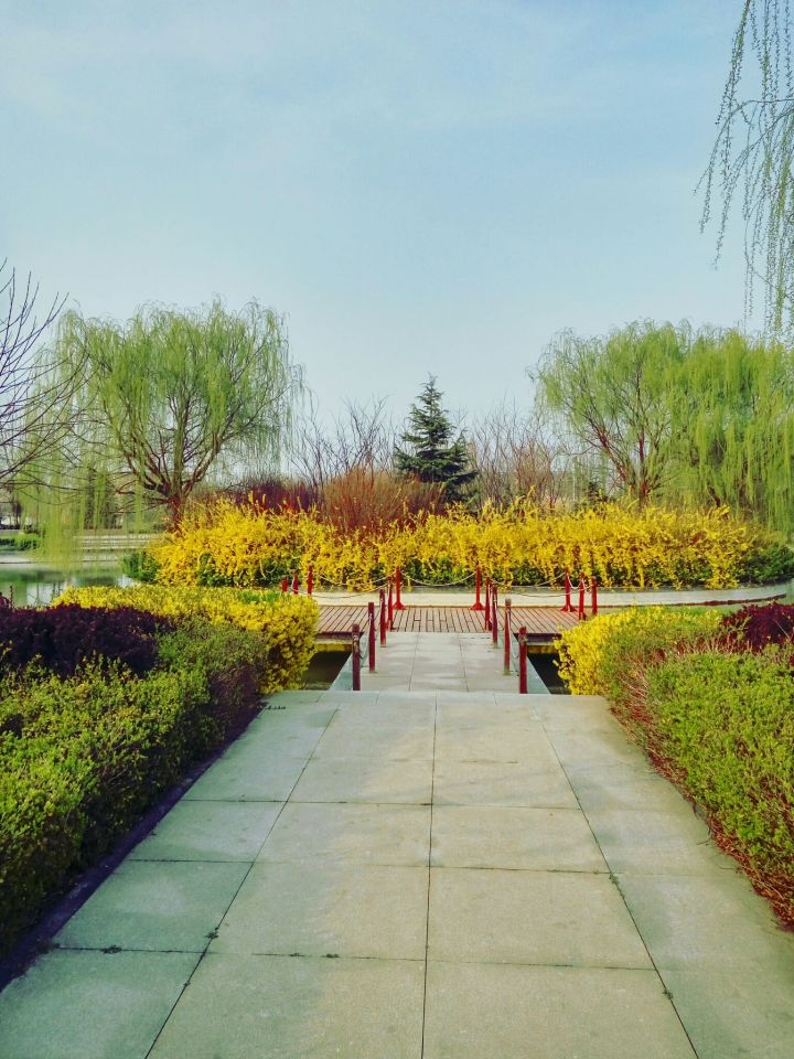 山东昌邑市第一中学,山东前十高中昌邑一中