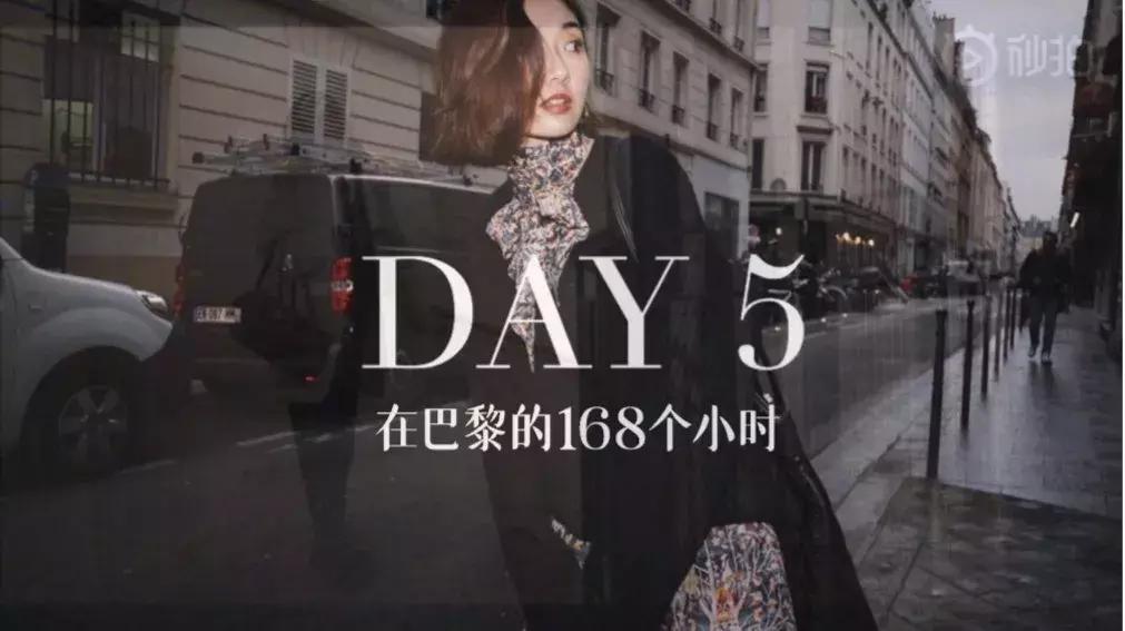 vlog这十年经历,vlog背后的秘密